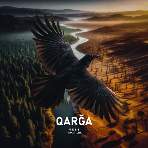 پیام تورک قارغا